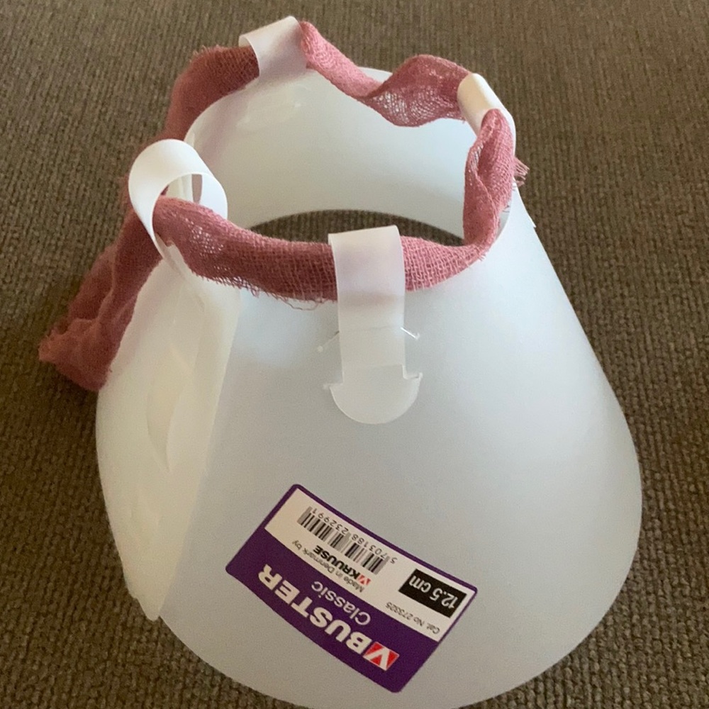 NWT Small animal surgery recovery cone